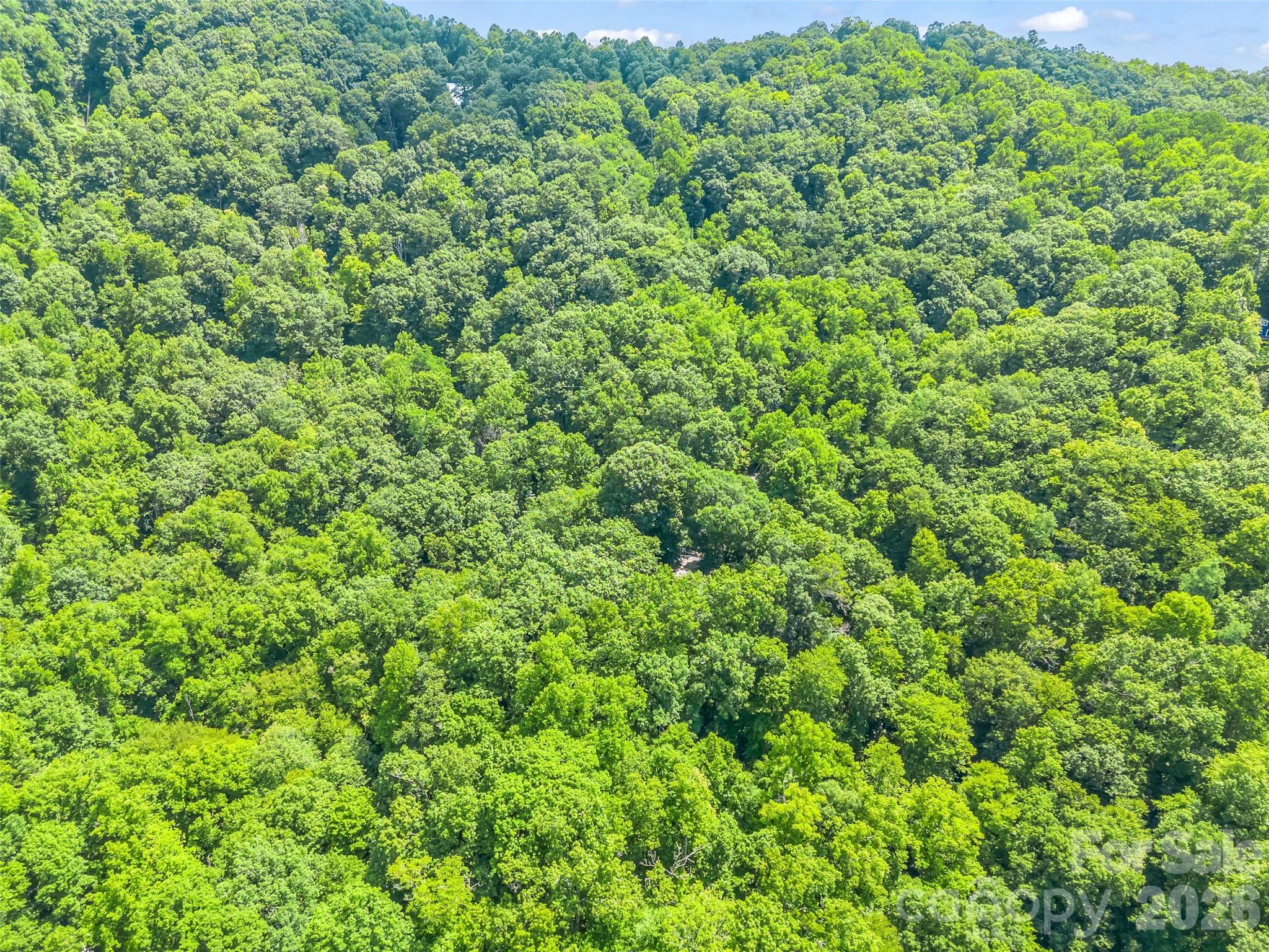 20 Kimberly Road Black Mountain, NC 28711 - Photo 44 of 46