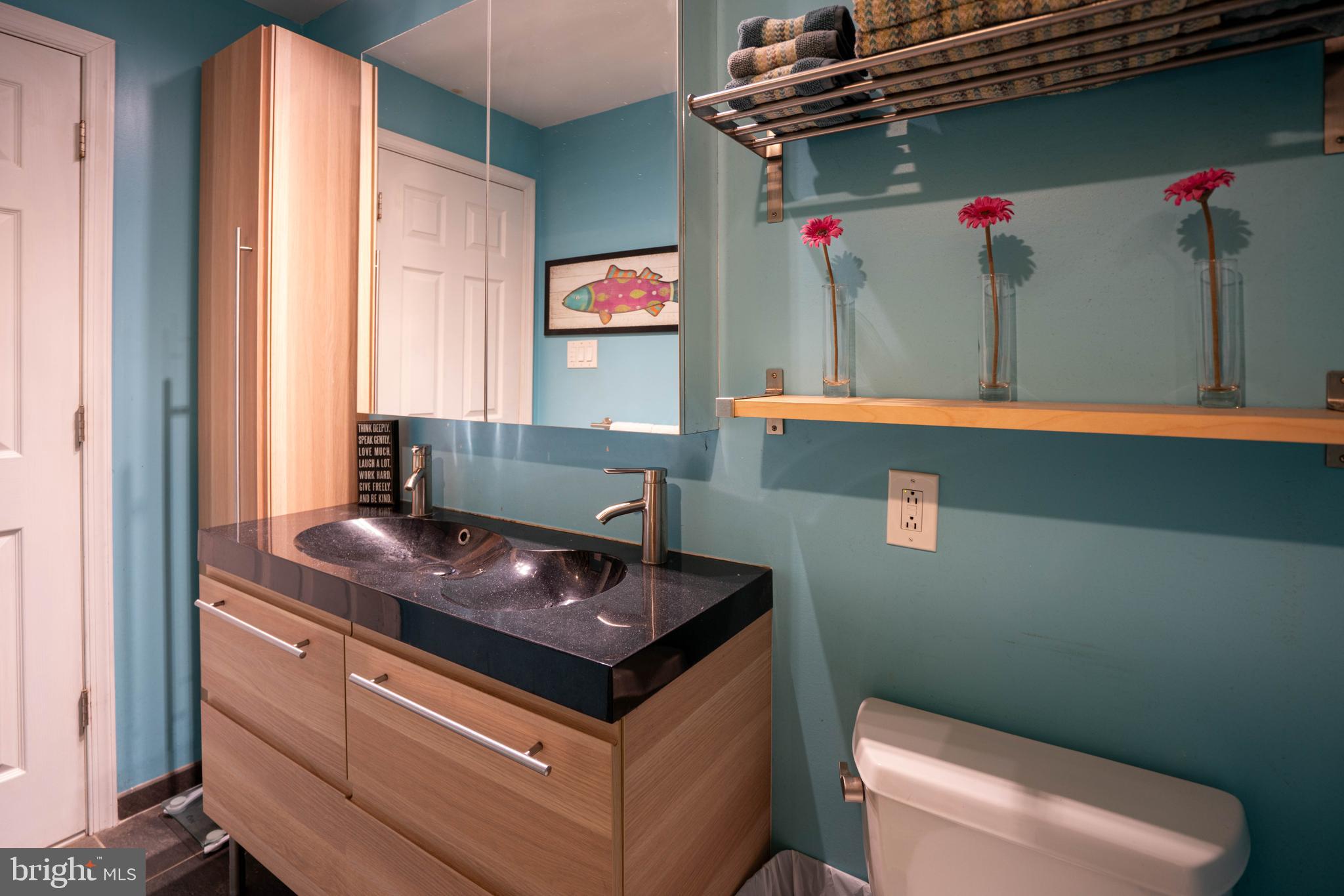 397 Cowpath Road Souderton, PA 18964 - Photo 29 of 81 Full Hall Bathroom