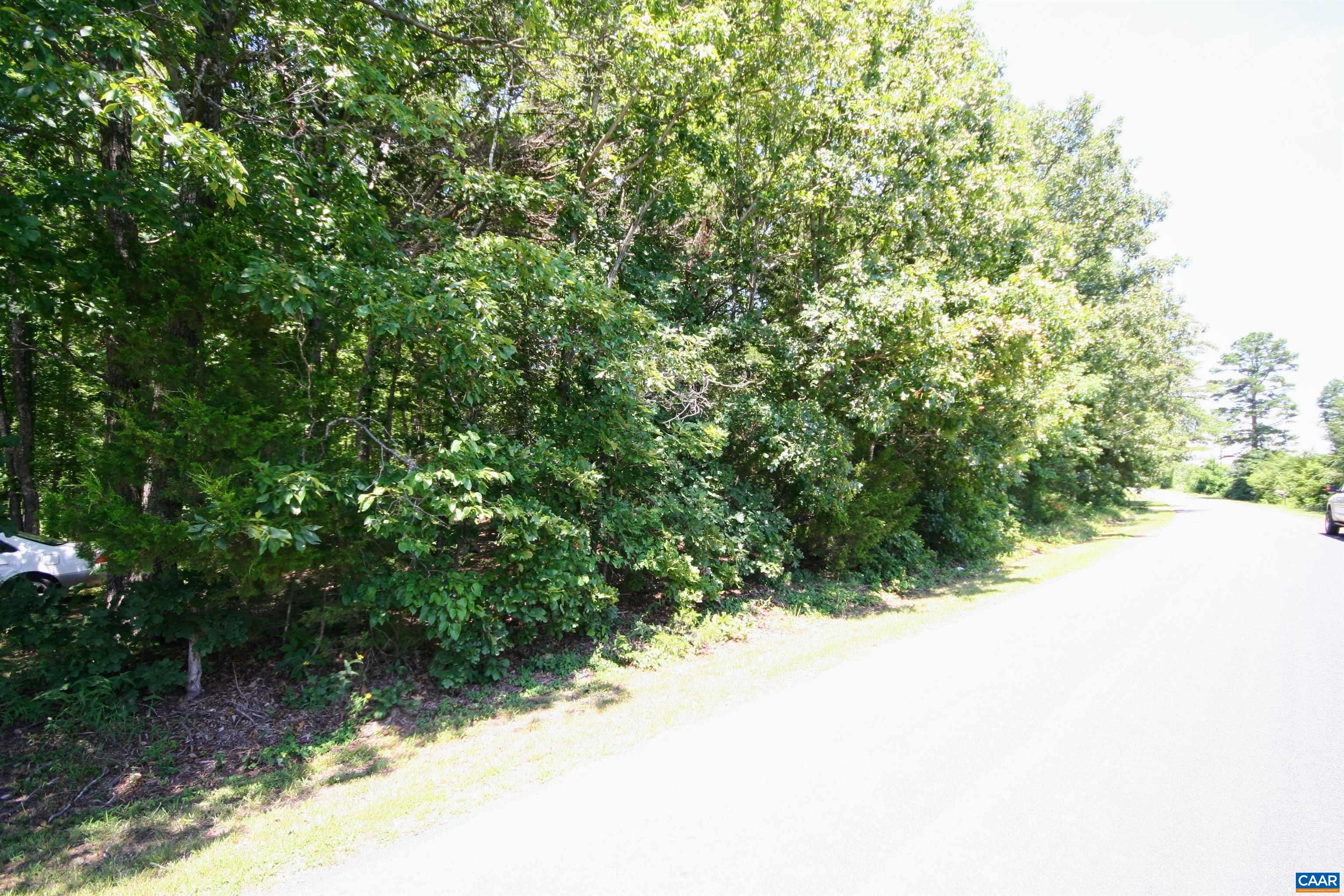 Tba Farm Buffalo Road Dillwyn, VA 23936 - Photo 54 of 59 a view of a yard with a tree