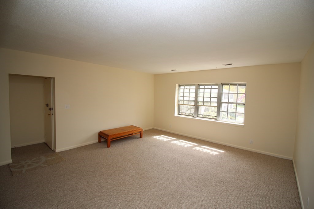 181 Lake Shore Road, Unit 3 Boston, MA 02135 - Photo 4 of 29