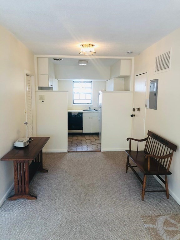 181 Lake Shore Road, Unit 3 Boston, MA 02135 - Photo 5 of 29