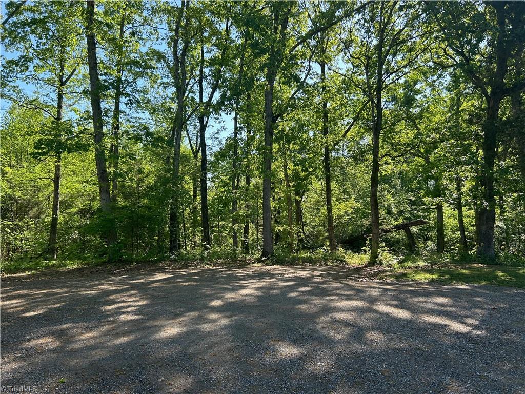 4016 High Rock Road Gibsonville, NC 27249 - Photo 33 of 41