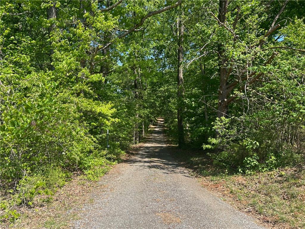 4016 High Rock Road Gibsonville, NC 27249 - Photo 35 of 41 Long private drive!