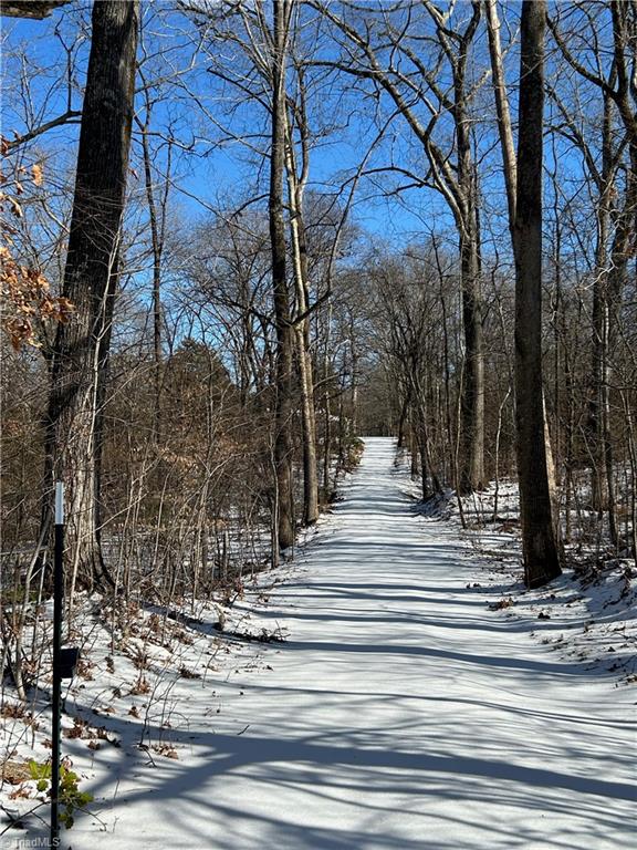 4016 High Rock Road Gibsonville, NC 27249 - Photo 36 of 41 Driveway view during recent snow