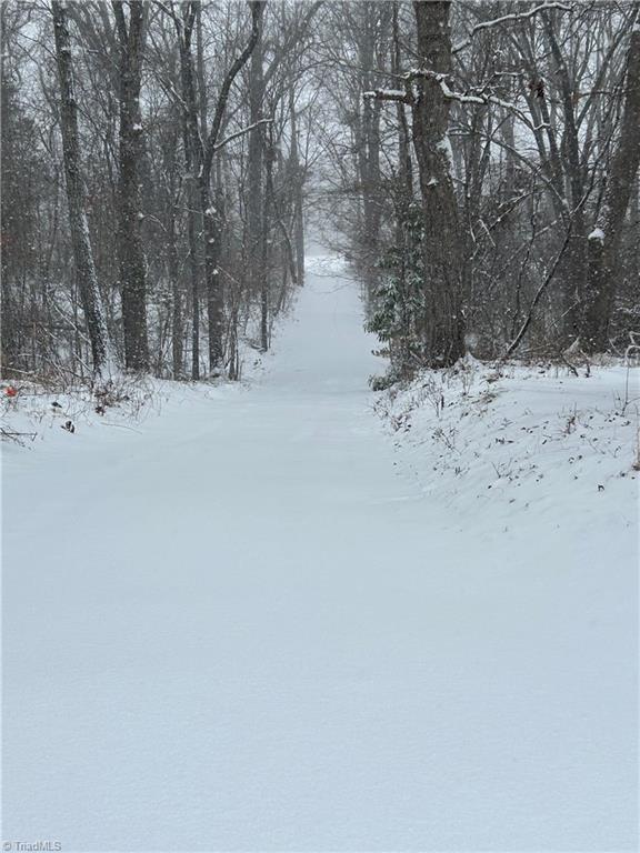 4016 High Rock Road Gibsonville, NC 27249 - Photo 37 of 41 Blessed solitude