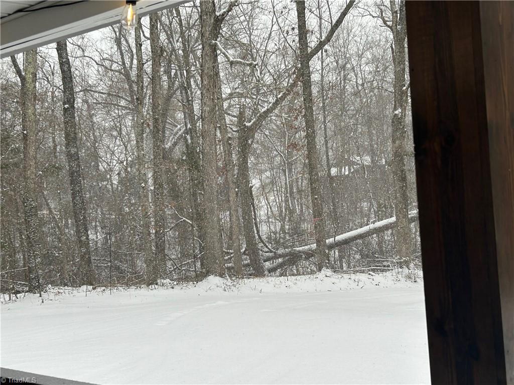 4016 High Rock Road Gibsonville, NC 27249 - Photo 39 of 41 Out of view even in winter