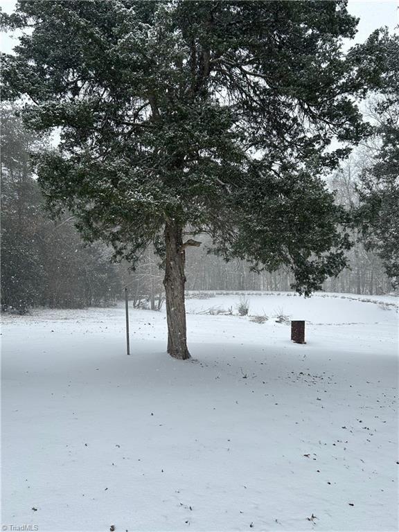 4016 High Rock Road Gibsonville, NC 27249 - Photo 40 of 41 Snowy pond