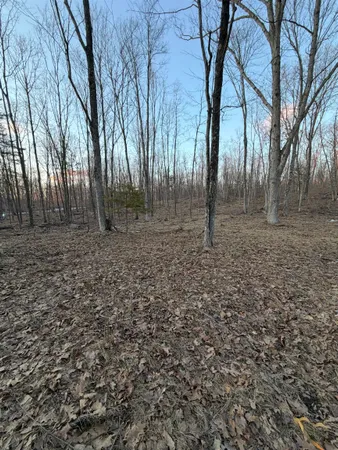 $32,500 | Rhett Lane, Unit 10, Wausaukee, WI 54177