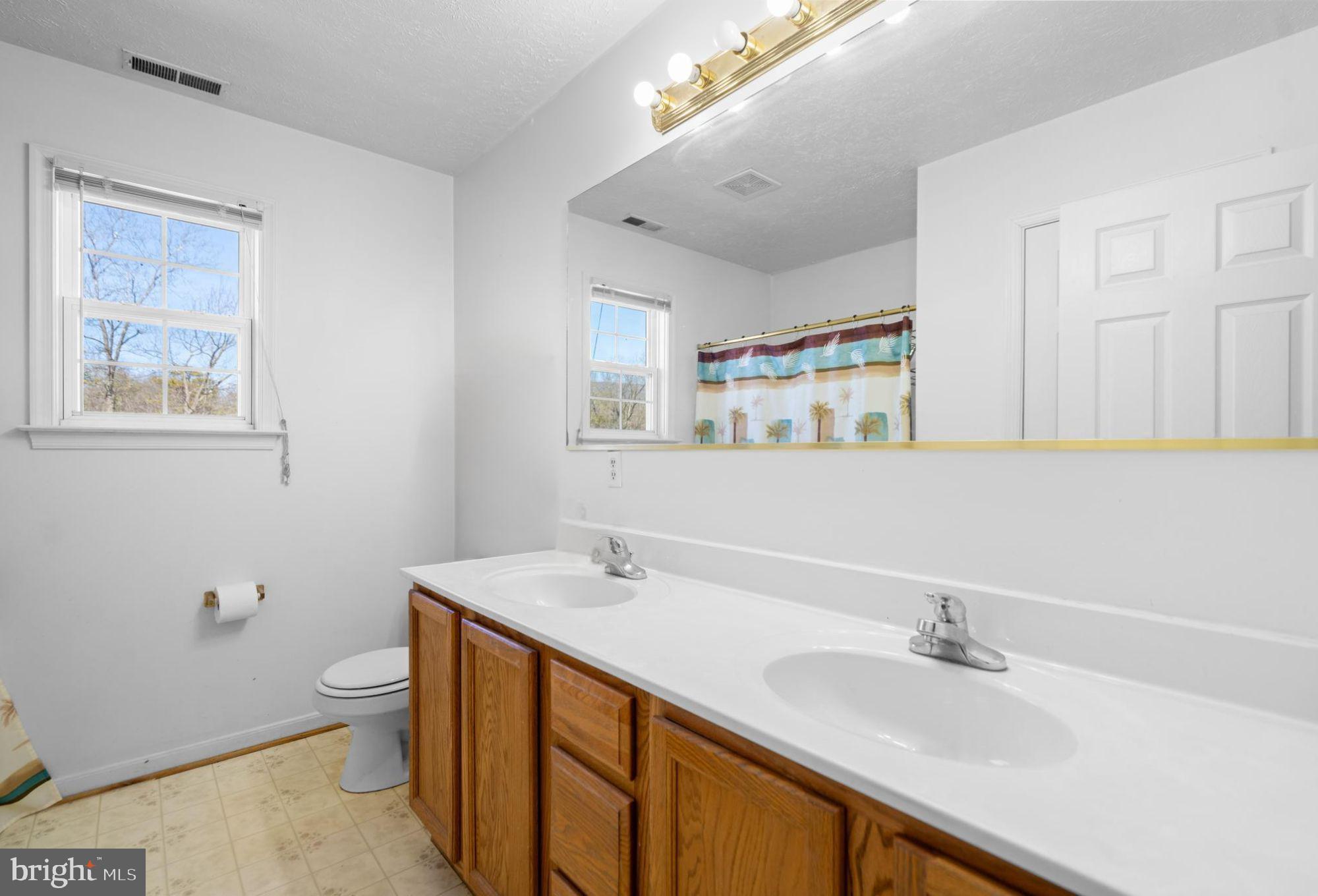 2158 Star Tannery Road Star Tannery, VA 22654 - Photo 15 of 23 a bathroom with a sink a toilet and a mirror