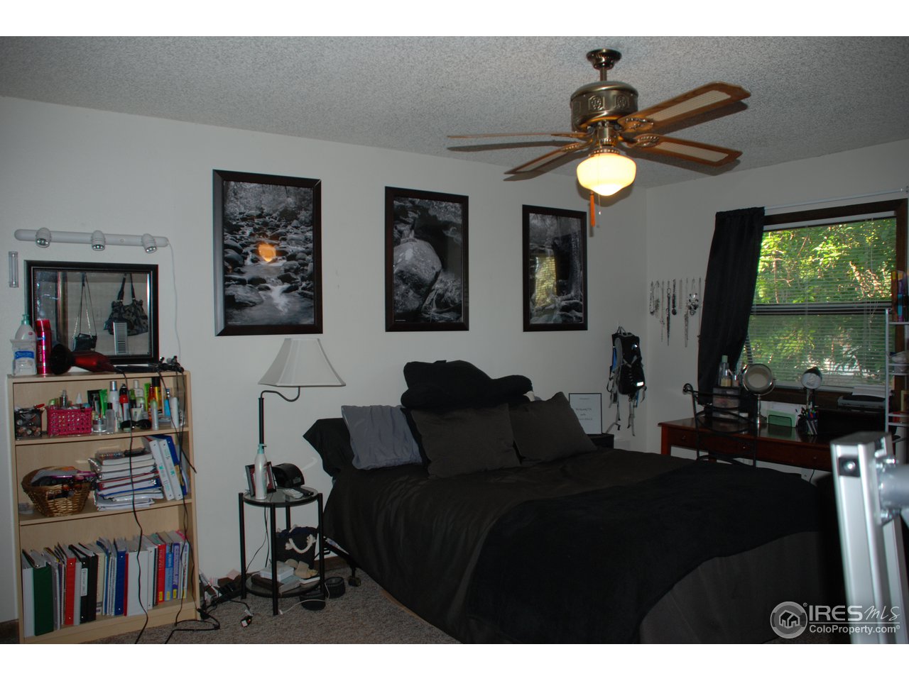 828 Timber Lane Fort Collins, CO 80521 - Photo 11 of 21 Gallery Image 11