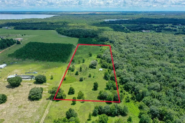 a view of a garden with plants and large trees