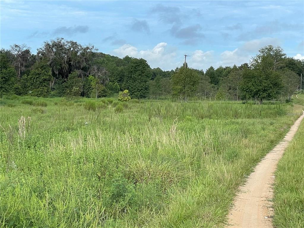11301 Claytor Road Clermont, FL 34714 - Photo 15 of 18 a view of a lush green space