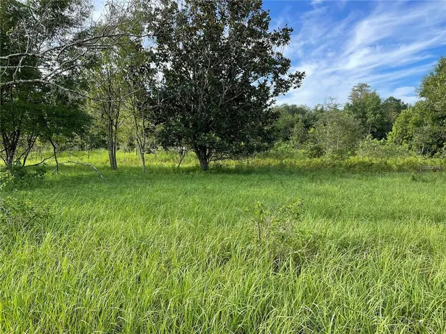 a view of field with trees in the background