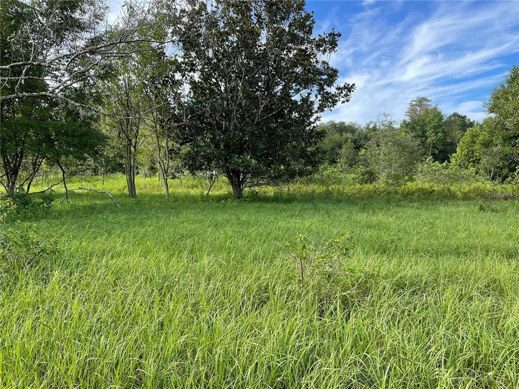 11301 Claytor Road Clermont, FL 34714 - Photo 18 of 18 a view of field with trees in the background