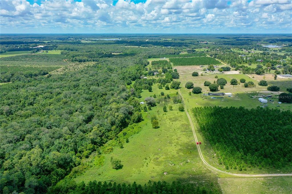 11301 Claytor Road Clermont, FL 34714 - Photo 3 of 18 a view of a green yard