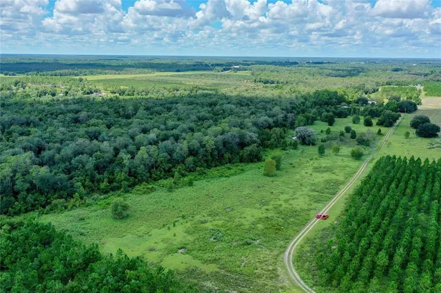 a view of a lush green space