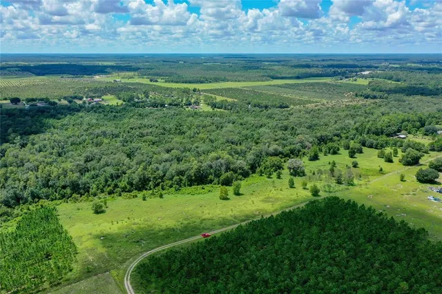 a view of a lush green space