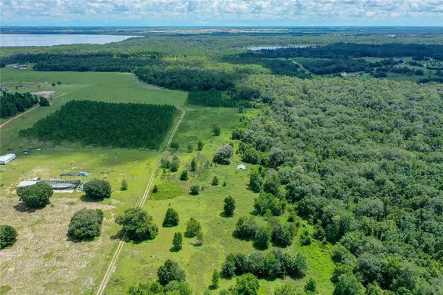 a view of a garden with a lake