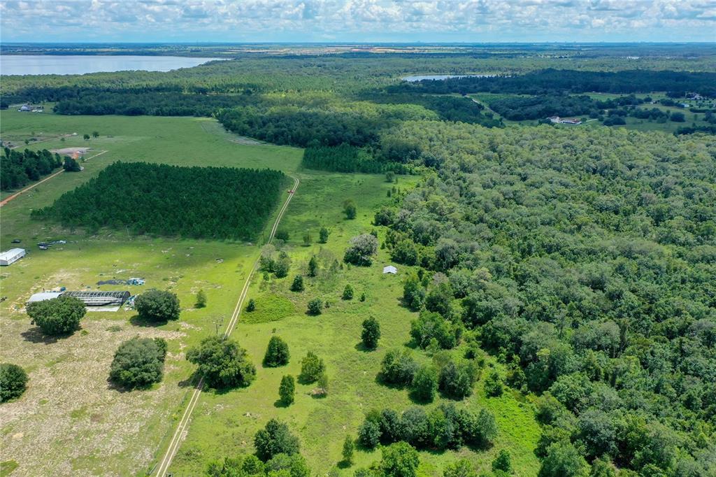 11301 Claytor Road Clermont, FL 34714 - Photo 10 of 18 a view of a garden with a lake