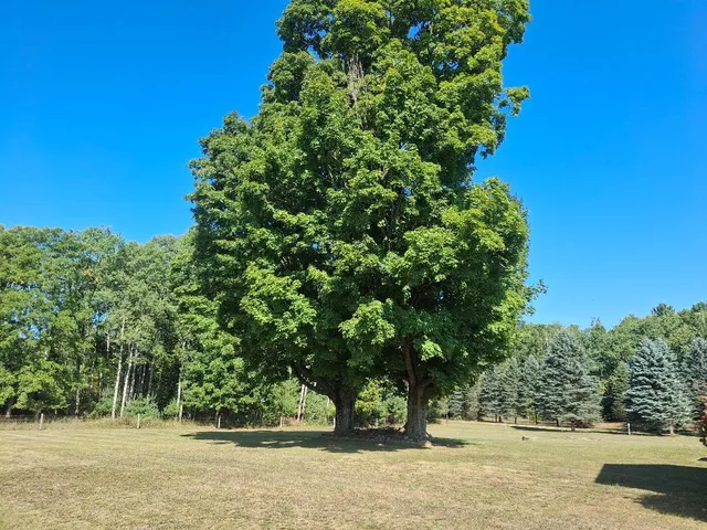 $235,000 | 1035 Evart Street, Evart, MI 49631