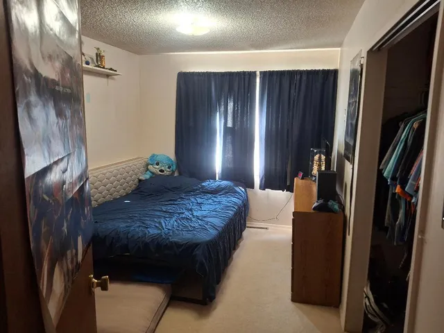 $235,000 | 1035 Evart Street, Evart, MI 49631