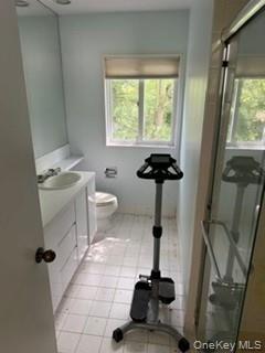 1117 Cedar Ridge Road Oyster Bay, NY 11771 - Photo 16 of 41 a bathroom with a sink a toilet and a mirror