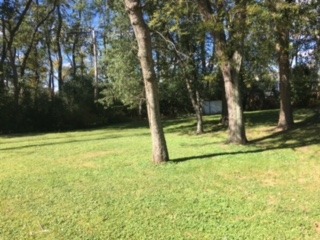 920 North Happ Road Northfield, IL 60093 - Photo 2 of 3 a view of backyard with green space