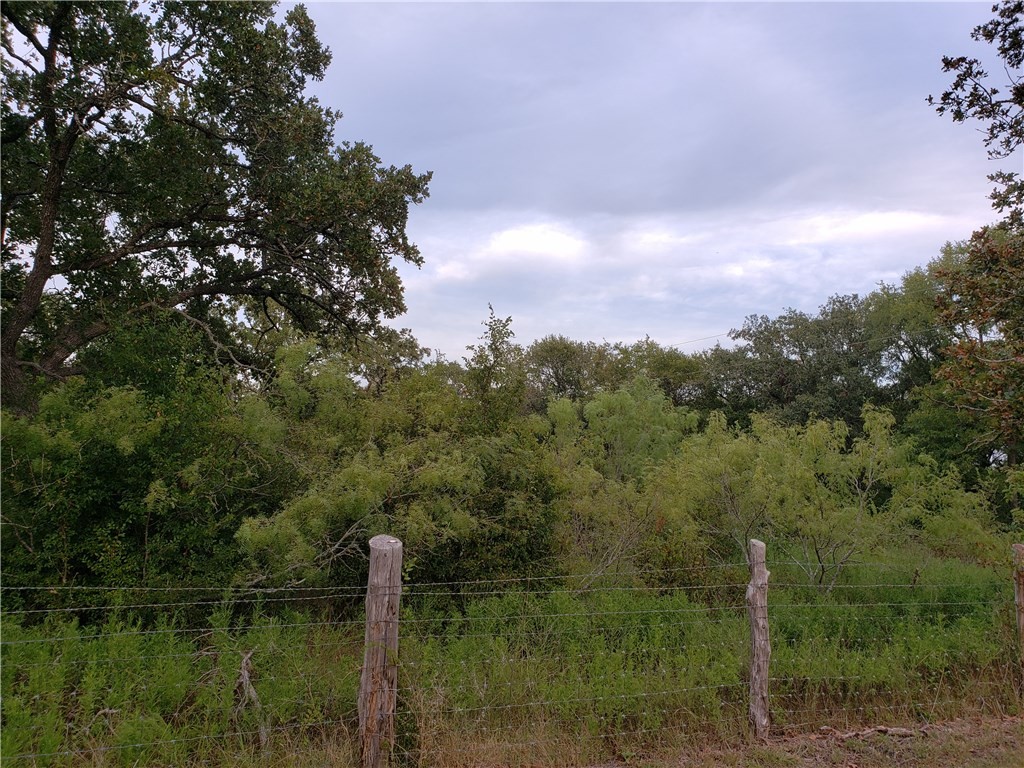 18901 Hogeye Road, Unit A Manor, TX 78653 - Photo 9 of 10 a view of a lake with a city