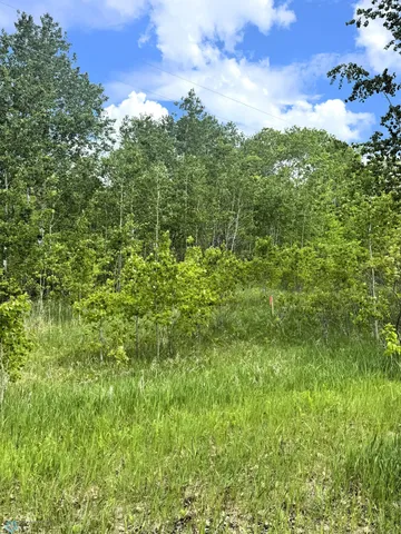 $42,900 | Lot 2-tbd Ponderosa Lane, Waubun, MN 56589