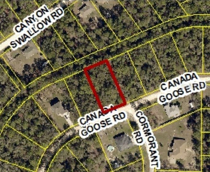 14099 Canada Goose Road Weeki Wachee, FL 34614 - Photo 1 of 1