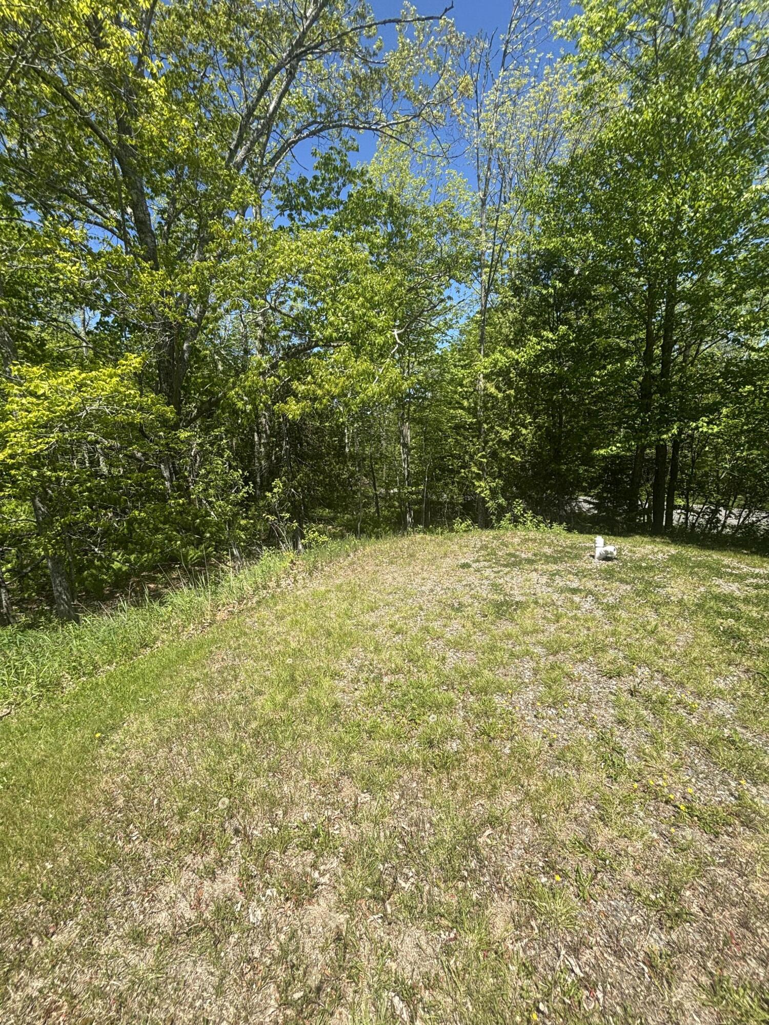 954 Cape Rosier Road Brooksville, ME 04642 - Photo 3 of 7