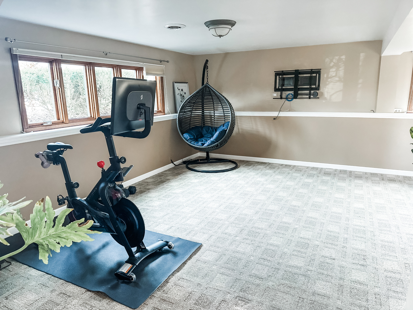 5341 Meadow Lane Lisle, IL 60532 - Photo 11 of 16 a view of a room with gym equipment