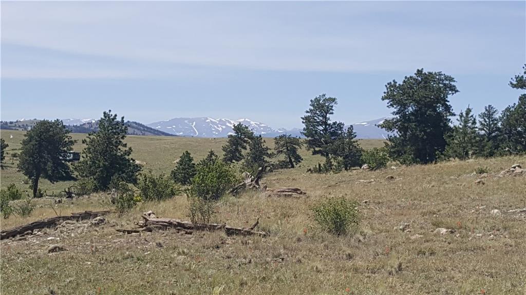 1920 Yellowstone Road Hartsel, CO 80449 - Photo 1 of 17 Gallery Image 1