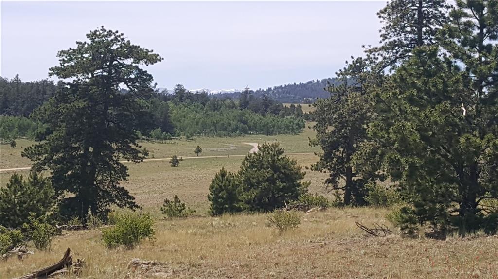 1920 Yellowstone Road Hartsel, CO 80449 - Photo 2 of 17 Gallery Image 2