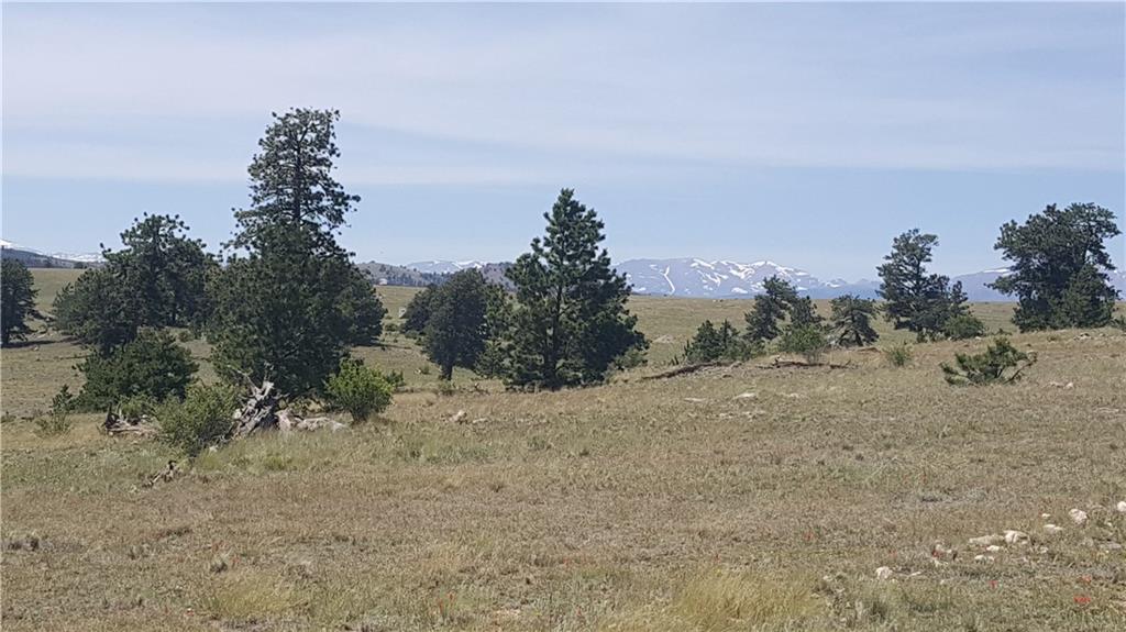 1920 Yellowstone Road Hartsel, CO 80449 - Photo 13 of 17 Gallery Image 13