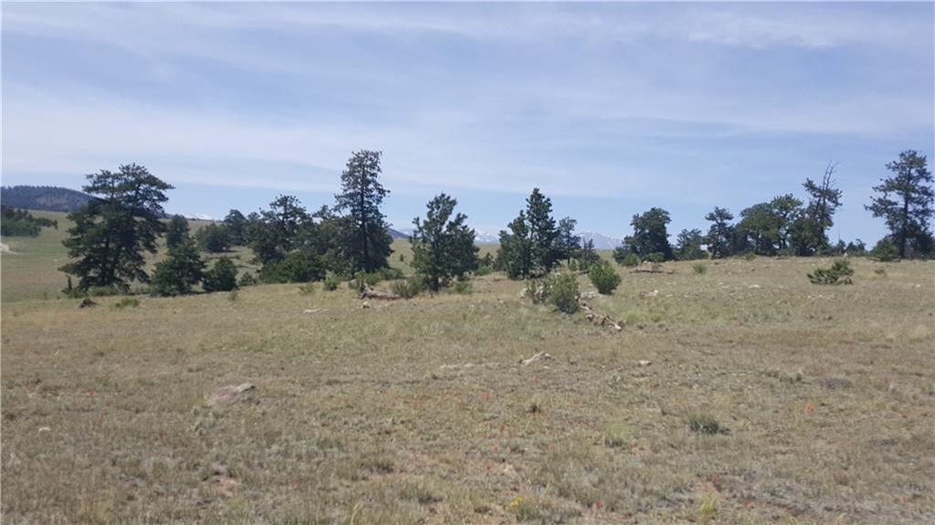 1920 Yellowstone Road Hartsel, CO 80449 - Photo 14 of 17 Gallery Image 14