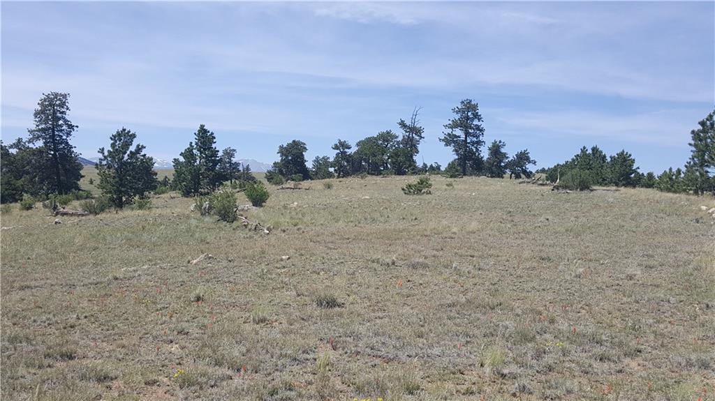 1920 Yellowstone Road Hartsel, CO 80449 - Photo 15 of 17 Gallery Image 15
