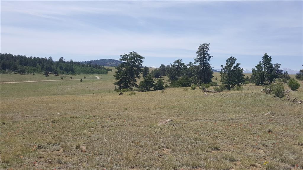 1920 Yellowstone Road Hartsel, CO 80449 - Photo 16 of 17 Gallery Image 16