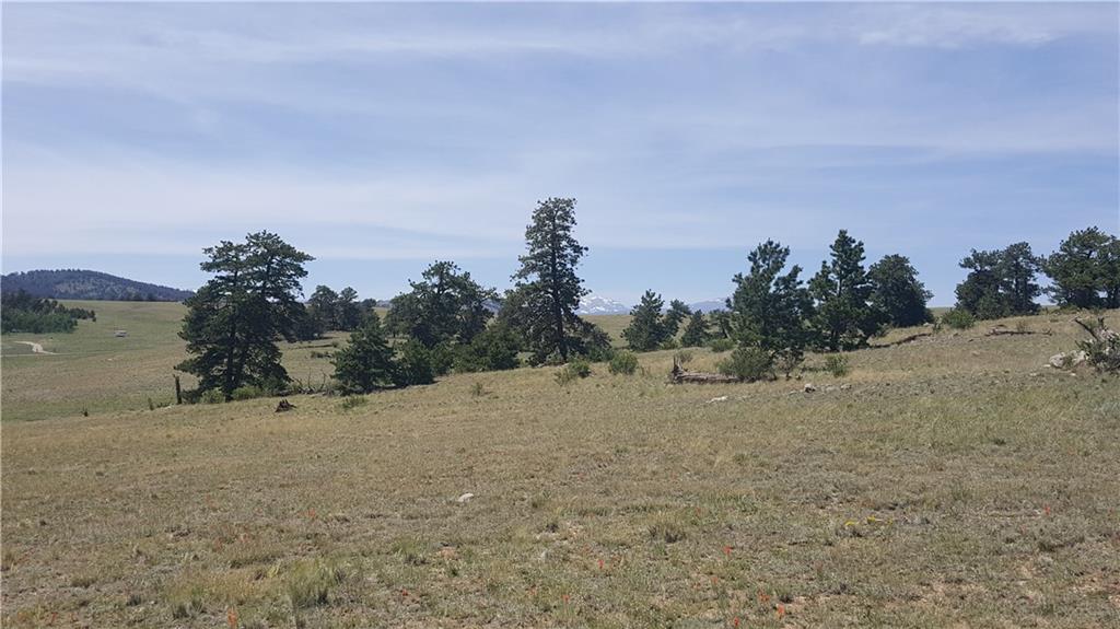 1920 Yellowstone Road Hartsel, CO 80449 - Photo 17 of 17 Gallery Image 17