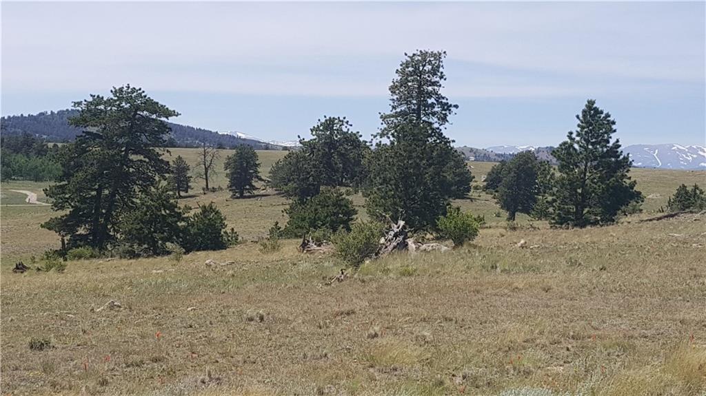 1920 Yellowstone Road Hartsel, CO 80449 - Photo 4 of 17 Gallery Image 4