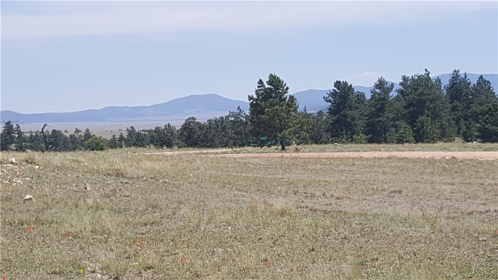 1920 Yellowstone Road Hartsel, CO 80449 - Photo 5 of 17 Gallery Image 5