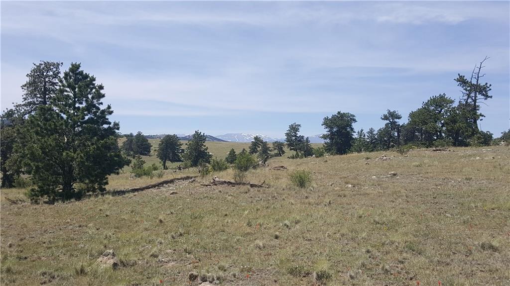 1920 Yellowstone Road Hartsel, CO 80449 - Photo 6 of 17 Gallery Image 6