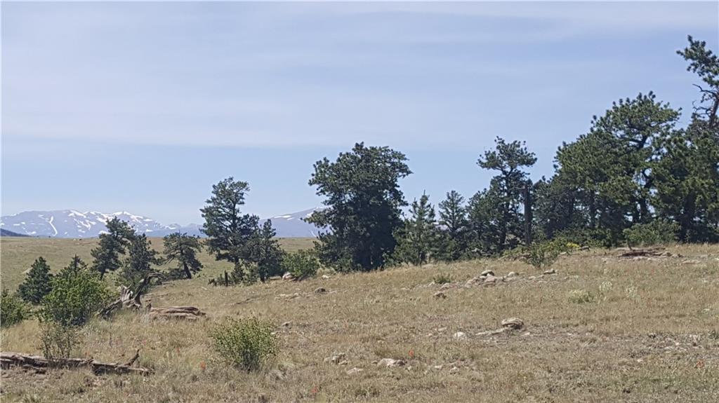 1920 Yellowstone Road Hartsel, CO 80449 - Photo 8 of 17 Gallery Image 8