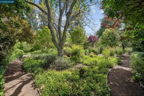 $3,500,000 | 200 Wayne Avenue, Alamo, CA 94507