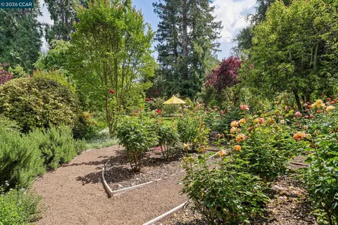 $3,500,000 | 200 Wayne Avenue, Alamo, CA 94507