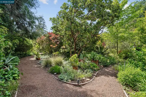 $3,500,000 | 200 Wayne Avenue, Alamo, CA 94507