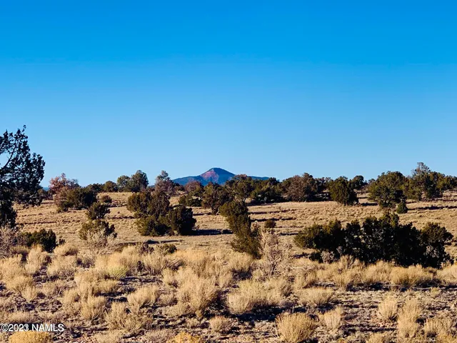 a view of a building