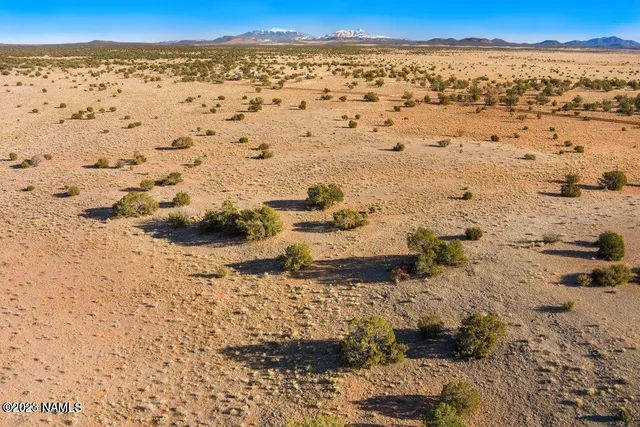 a view of beach and ocean