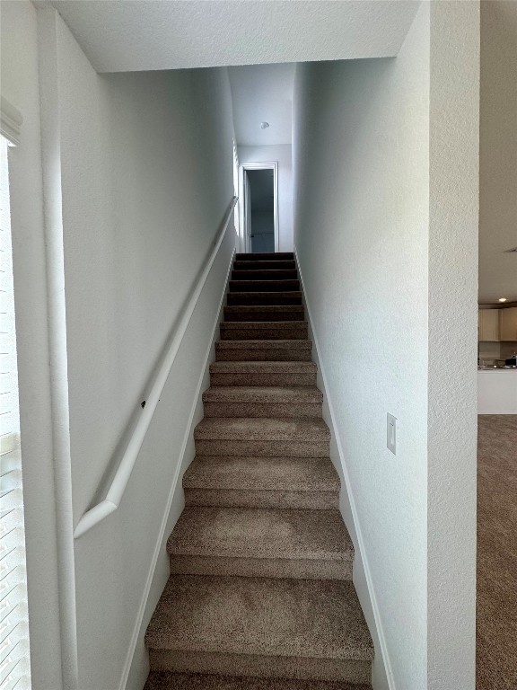 110 Haw Branch View Kyle, TX 78640 - Photo 7 of 15 Stairs with carpet