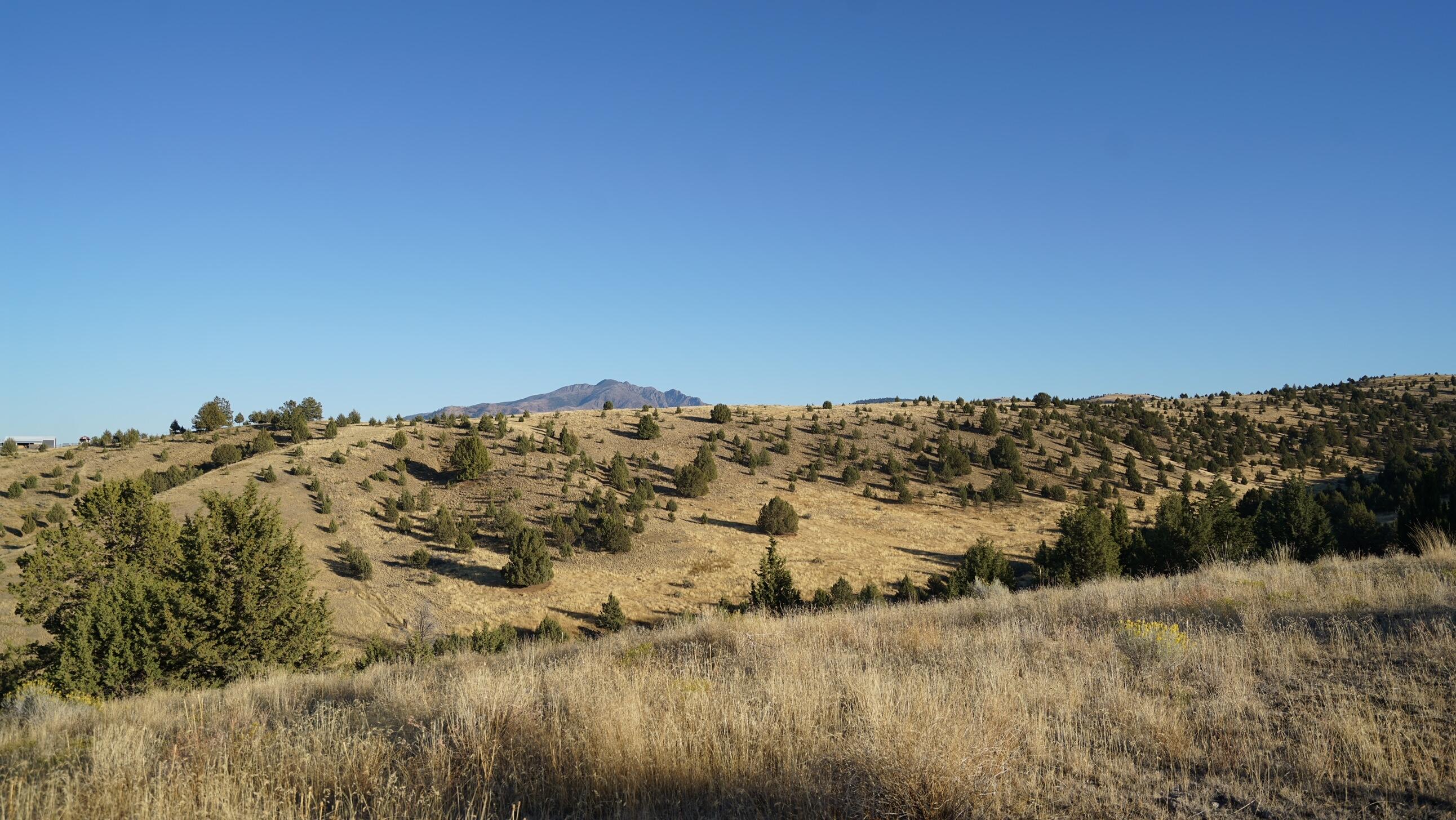 Laycock Road Mount Vernon, OR 97865 - Photo 10 of 16 DSC02900